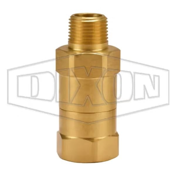 Safety Check Valve, 3/8 in, FNPT, Brass Body