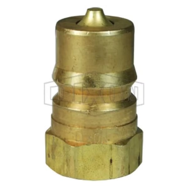 DQC HS Interchange Steam Female Plug, 3/4-14 Nominal, Female BSPP, Brass