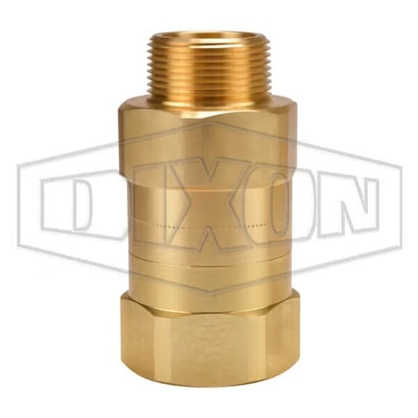 Safety Check Valve, 1-1/4 in, FNPT, Brass Body