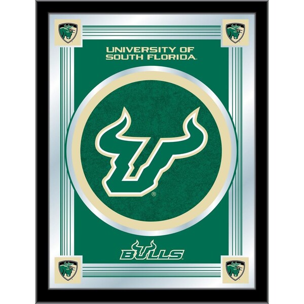 South Florida 17" x 22" Logo Mirror