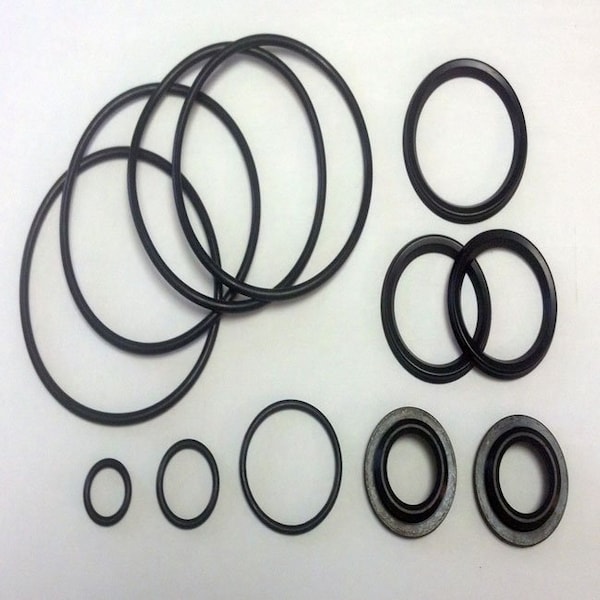Valve Service Kit, RL 125, EPDM; Replaces Tuchenhagen Part# 221-528.22