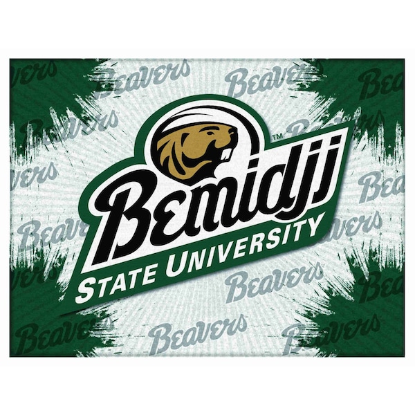 Bmidji State University 15"x20" Canvas Wall Art