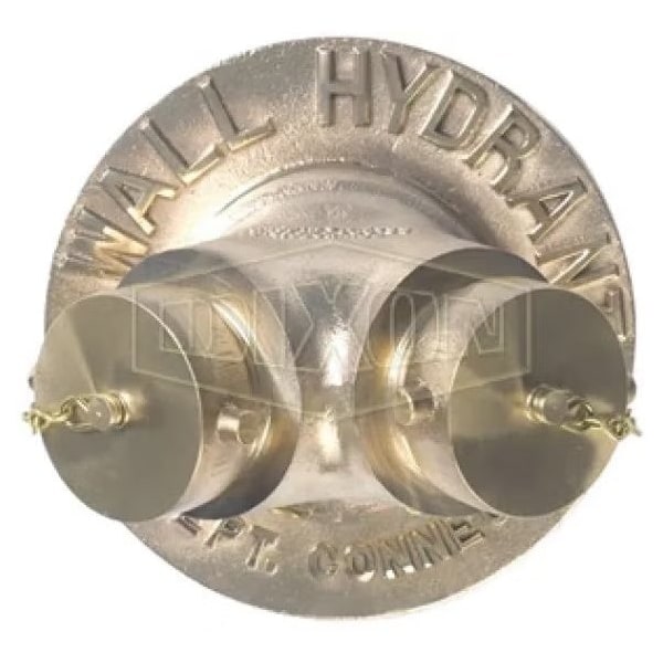 The Right Connection 21-195 2-Way Exposed Wall Hydrant, 6 x 2 2-1/2 in, FNPT x MNST, Cast Brass, D