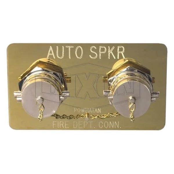 The Right Connection 22-229 Concealed Double Clapper Siamese Assembly, FNST x FNPT, Cast Brass, Dome
