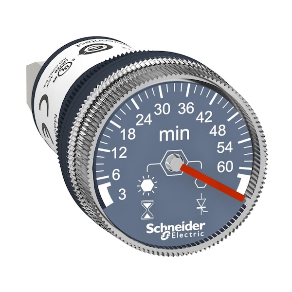 Panel mounted timer monofunction, Harmony XB5, plastic, 22mm, time delay 3.60min, 100.240V AC DC