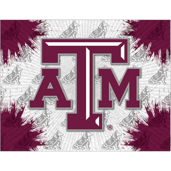 Texas A&M 15"x20" Canvas Wall Art