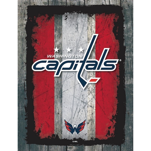 Washington Capitals 15" x 20" Canvas Wall Art