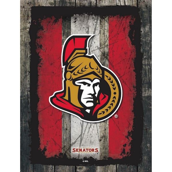Ottawa Senators 15" x 20" Canvas Wall Art