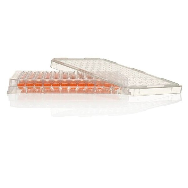 Thermo Scientific Nunc 96 Well Plt, PK50