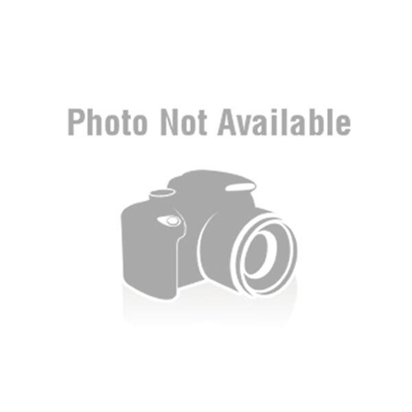 Notched Trowel, U-Handle, 1/4"x1/2"x 1/4"