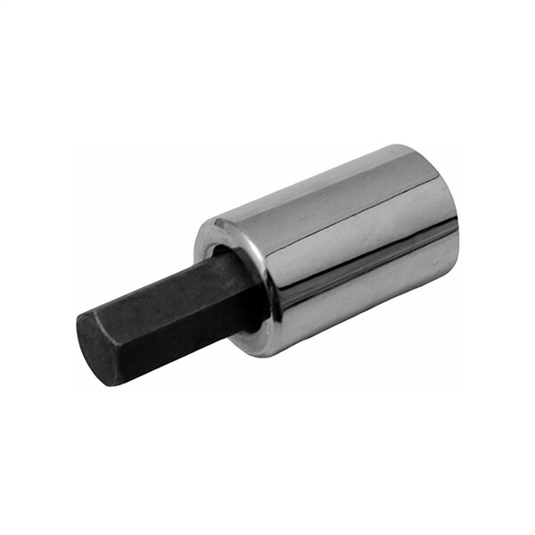 Socket Hex Bit, 17mm