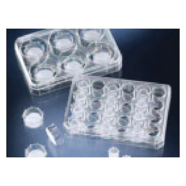 Thermo Scientific Nunc Polycarbona, PK 48