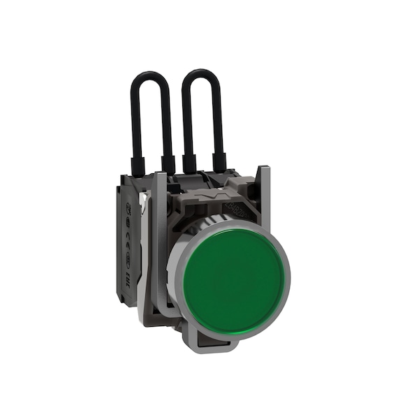 Push to test pilot light, Harmony XB4, metal, green, 22mm, universal LED, 24V
