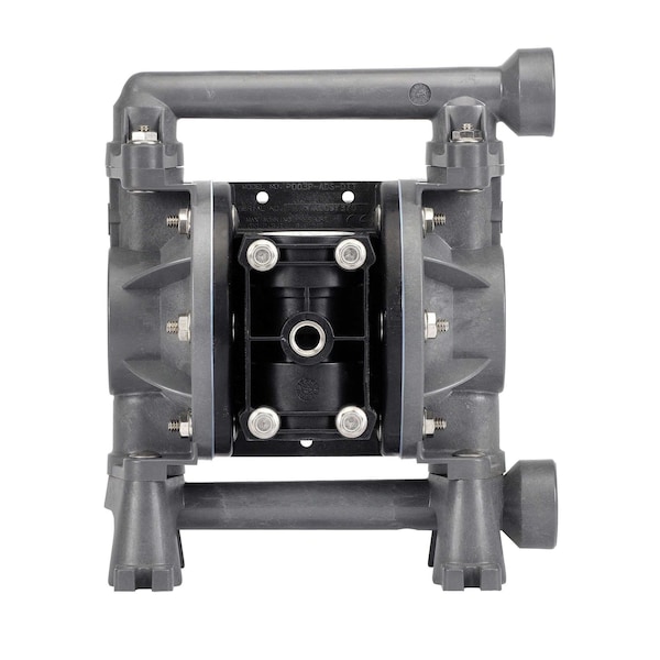 Diaphragm Pump, 3/8In, PD03P-AES-DST