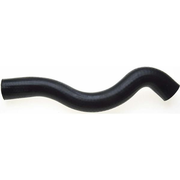 Molded Coolant Hose - Upper, 22138