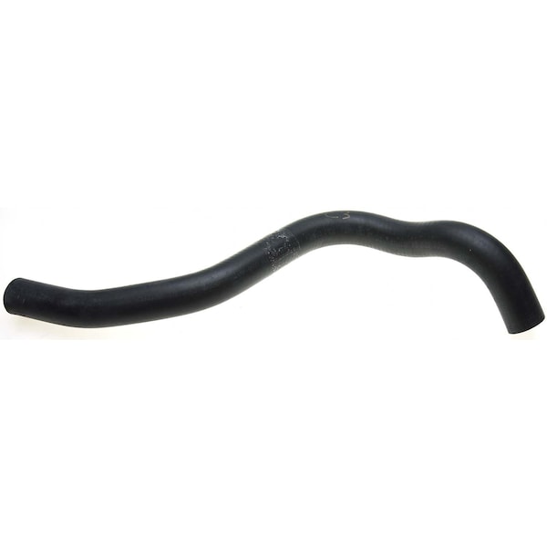 Molded Coolant Hose - Lower, 22341