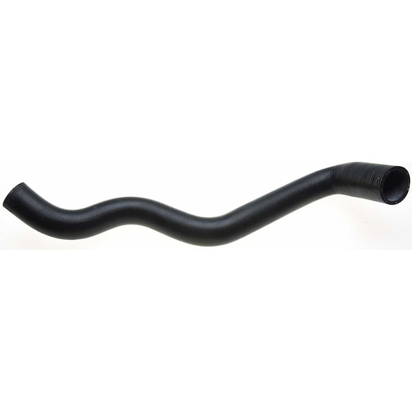 Molded Coolant Hose - Lower, 22464