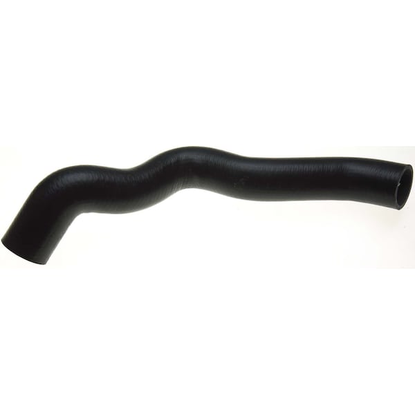 Molded Coolant Hose - Lower, 22577