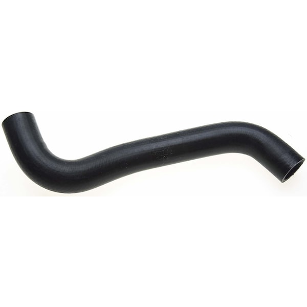 Molded Coolant Hose - Lower, 22826