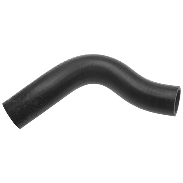 Molded Coolant Hose - Lower, 22961
