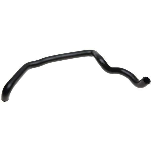 Molded Coolant Hose - Lower - Radiator To Pipe, 23485