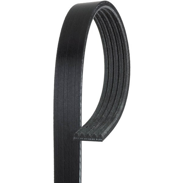 Premium OE Micro-V Belt, K050658