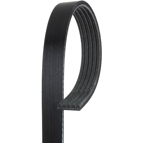 Premium OE Micro-V Belt, K050665