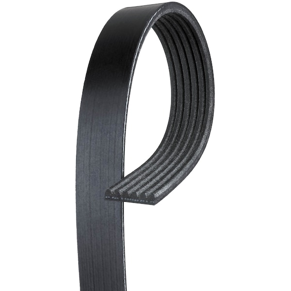 Premium OE Micro-V Belt - Accessory Drive, K061230