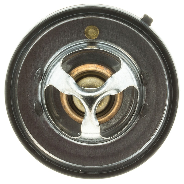 OE Type Thermostat, 33919