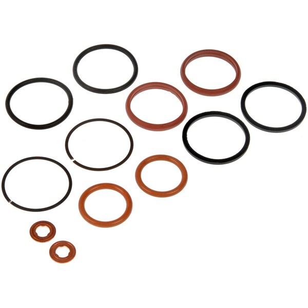 Fuel Injector O-ring Kit, 904-206
