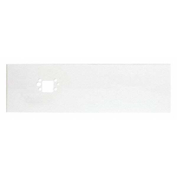 Back Panel