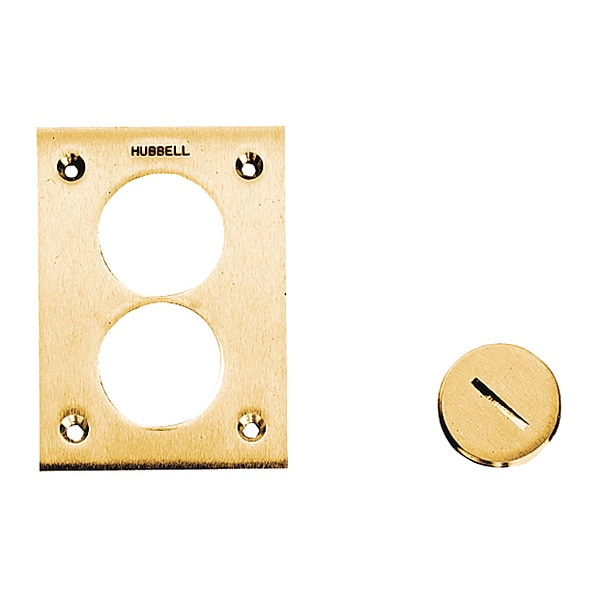 Flush Plug, 1IN, Brs