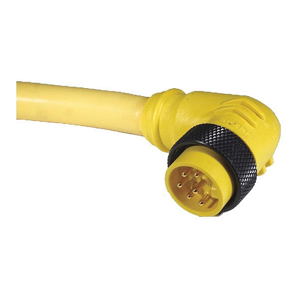Cordset, MiniPVC, Male, 2 Pole, 12 ft.