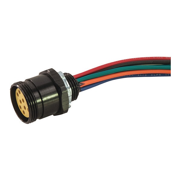 Receptacle, Mini, Female, 10 Pole, 1 ft.