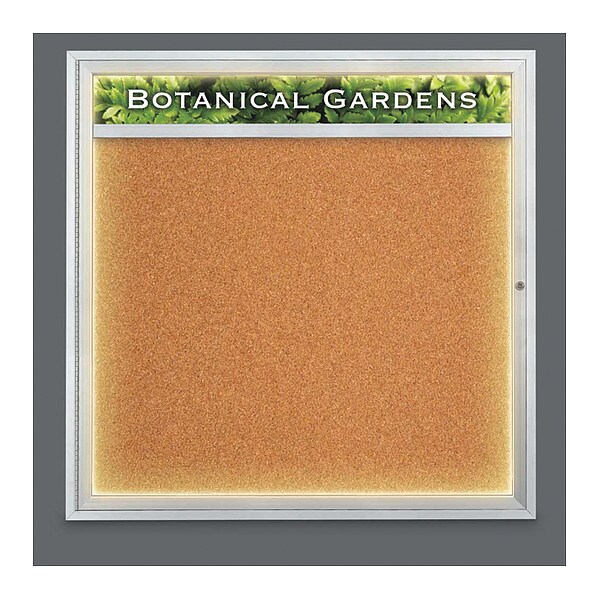 Corkboard, Lightd, Header, Cork, 1 Dr, 48x48"