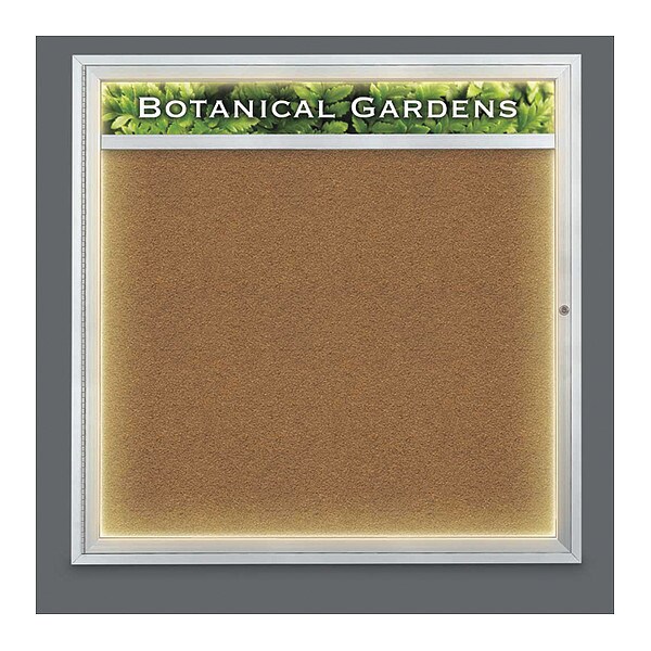 Corkboard, Lghtd, Header, Forbo, 1 Dr, 48x48"