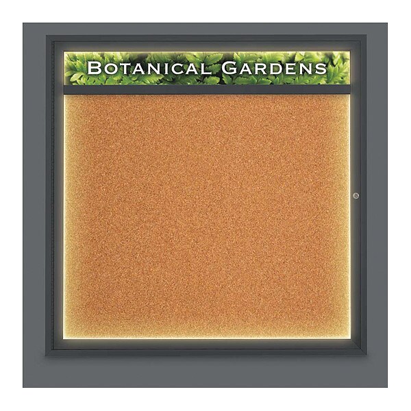 Corkboard, Lght, Hdr, Blk, Cork, 1 Dr, 48x48"