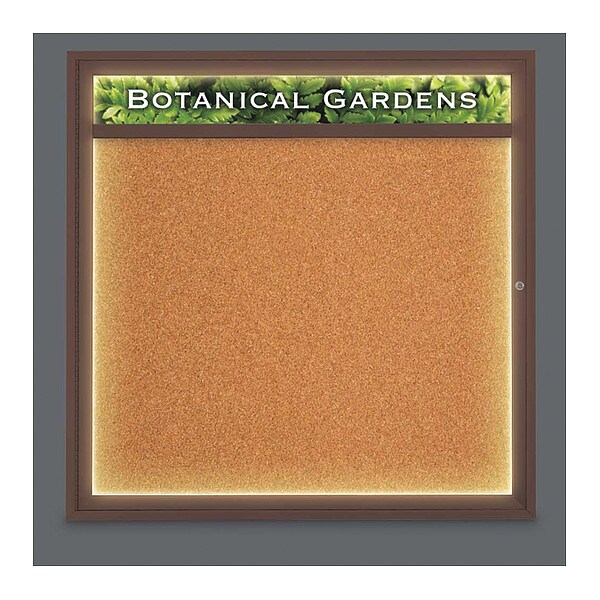 Corkboard, Lght, Hdr, Brnz, Cork, 1 Dr, 48x48"
