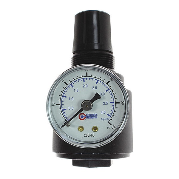Regulator W/Gauge 0-25PSI 1/4"