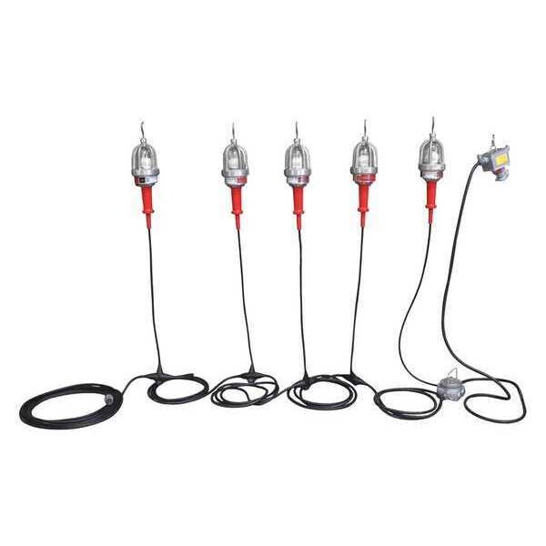 LED String, 50 ft., 5-15,120V, 5XE2E