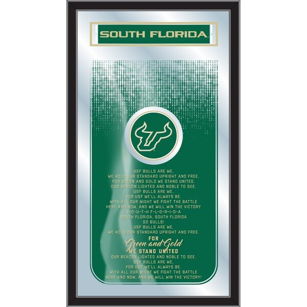 South Florida 26" x 15" Fight Song Mirror