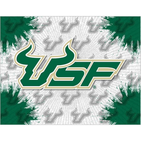 University of South Florida 15"x20" Canvas Wall Art