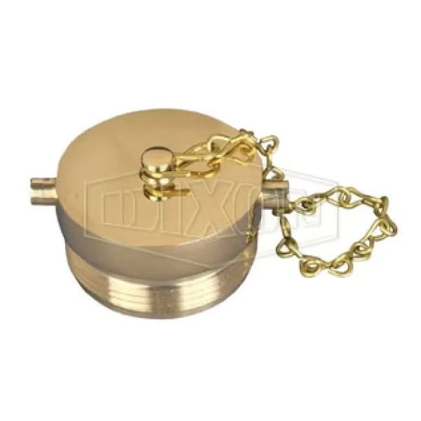 The Right Connection Pin Lug Plug with Chain, 4 in Nominal, MNST End Style, Cast Brass, Domestic