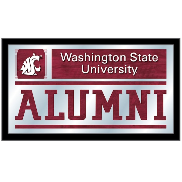 Washington State 26" x 15" Alumni Mirror