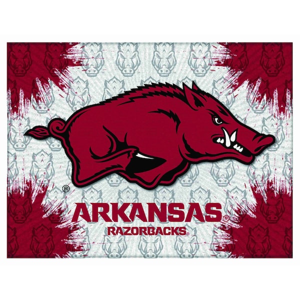 University of Arkansas 15"x20" Canvas Wall Art
