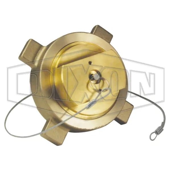 3 in BRASS LNG HOSE END