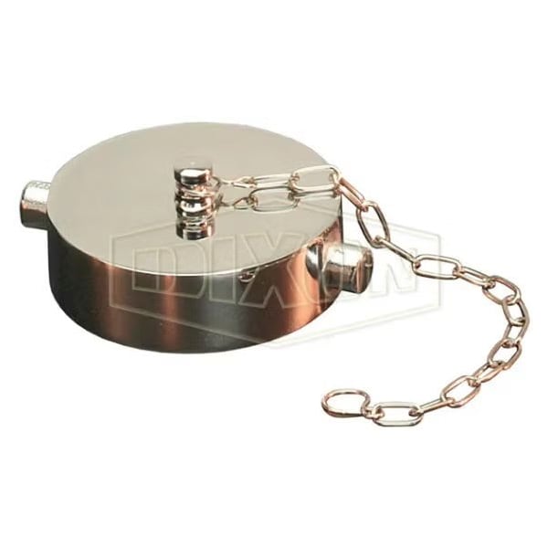 The Right Connection 17-126 Pin Lug Cap with Chain and Gasket, 2-1/2 in, FNST, Cast Brass, Domestic